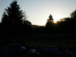 2010